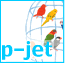 p-jet